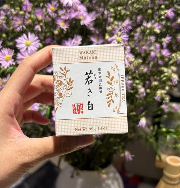 IPPODO WAKAKI 30G