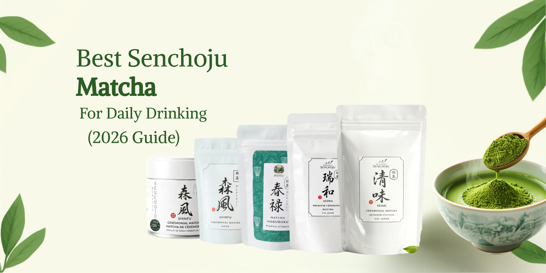 Best Senchoju Matcha for Daily Drinking (2026 Guide)