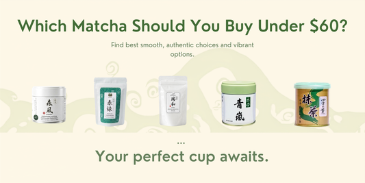 Which Matcha Should You Buy Under $60? (2026 Buyer's Guide for Canada)