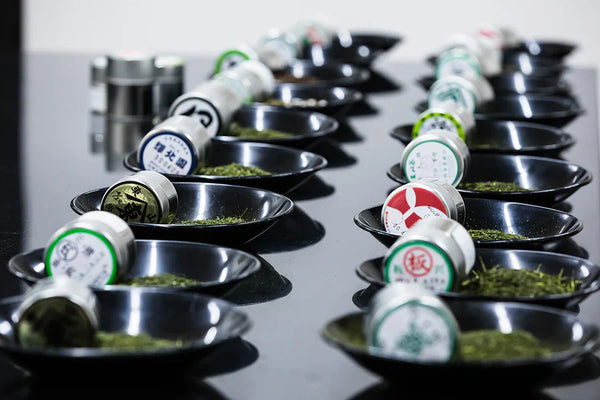 OTHER MATCHA & HOJICHA