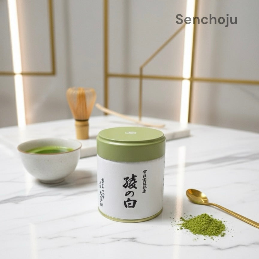 Marukyu Koyamaen Aya no Shiro 40g – Ceremonial Uji Matcha