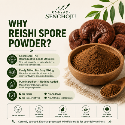 Senchoju Reishi Spore Powder 100g