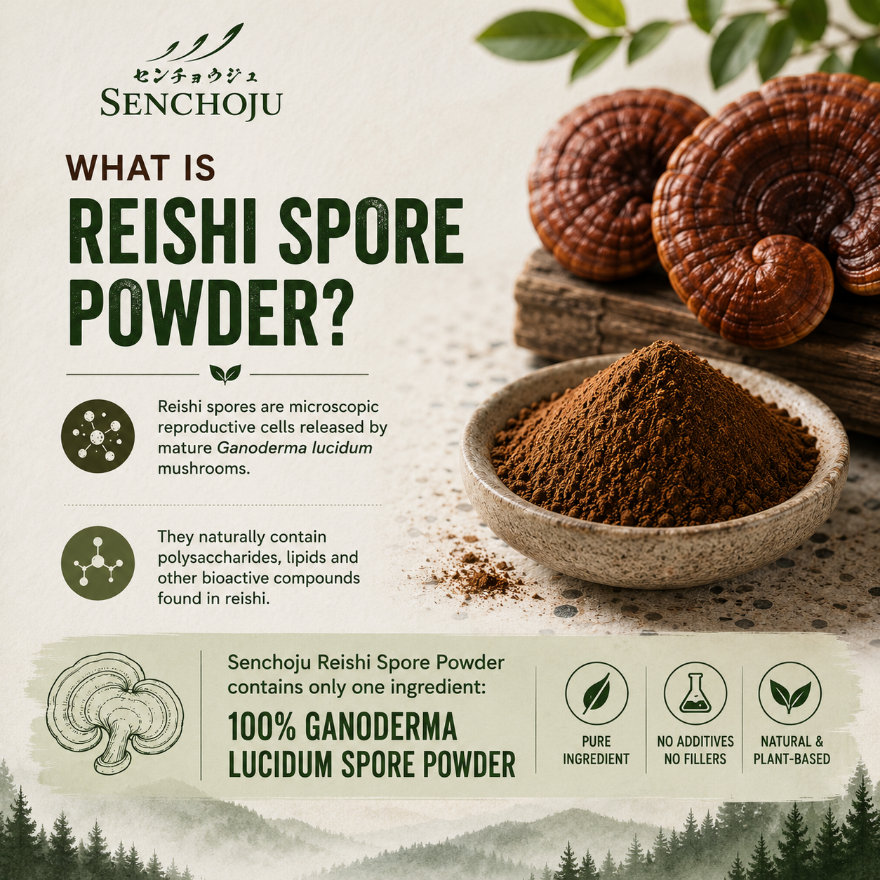 Senchoju Reishi Spore Powder 100g