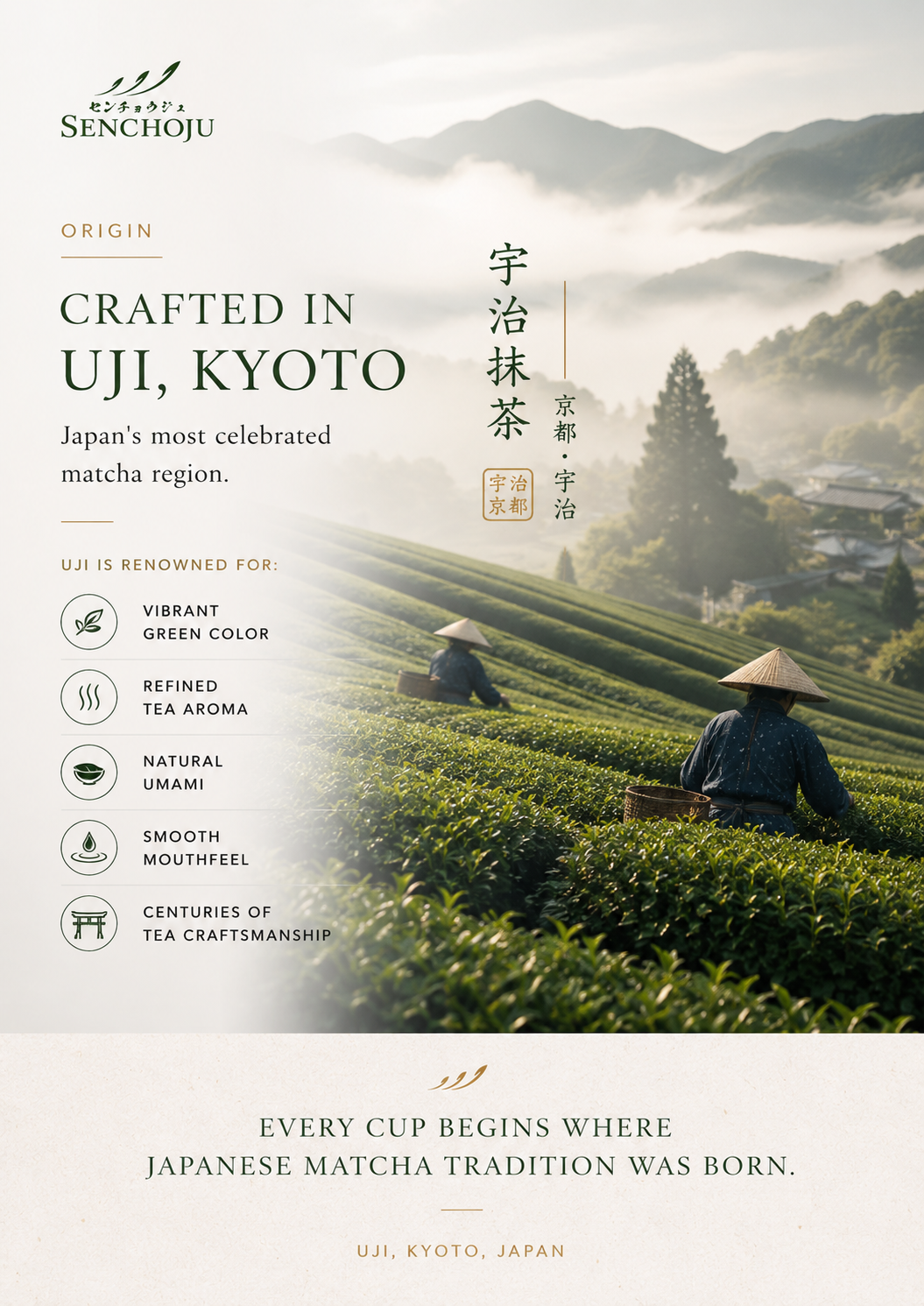ZUIWA 瑞和 30g can – Premium Ceremonial Matcha from Uji (Copy)
